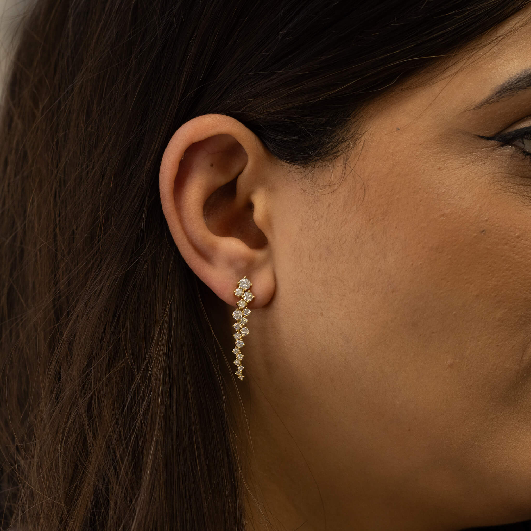 Shelly_Round_Diamonds_Drop_Earrings_Life